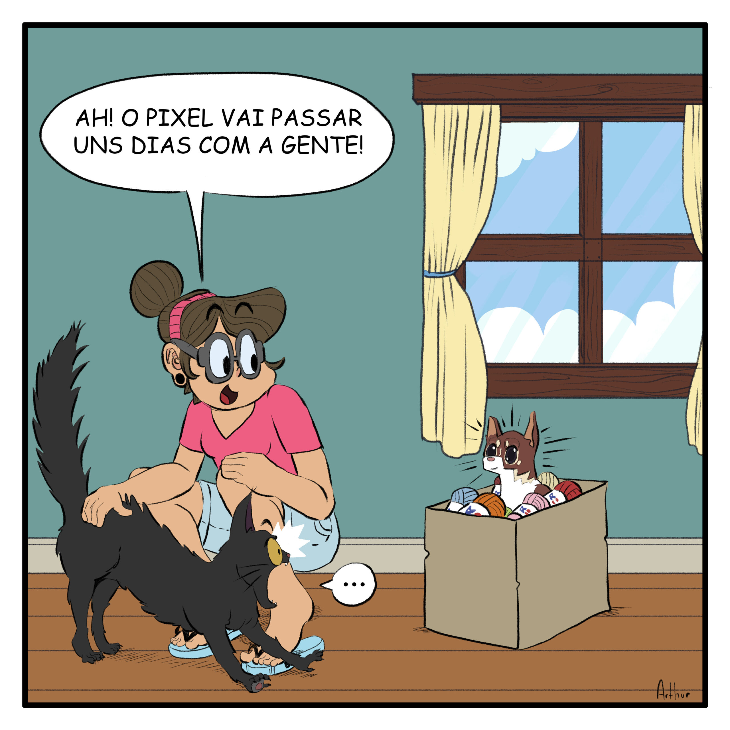 Cora e Pinguim